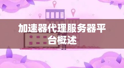 加速器代理服务器平台概述