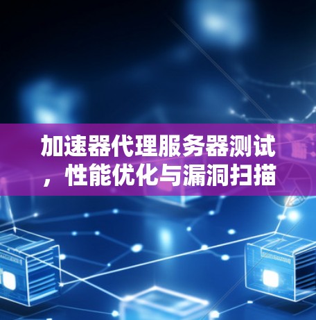加速器代理服务器测试，性能优化与漏洞扫描
