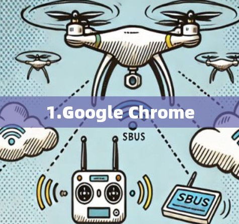 1.Google Chrome 1.Google Chrome