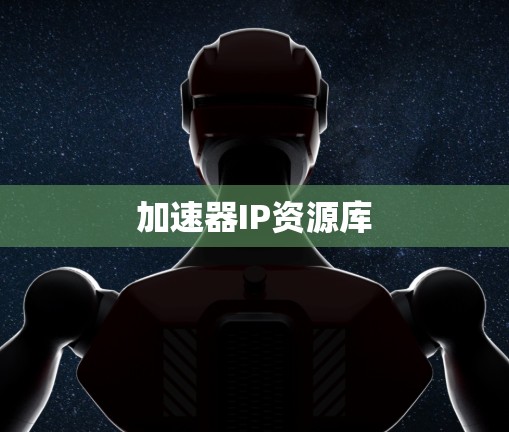 加速器IP资源库 加速器IP资源库