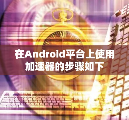 在Android平台上使用加速器的步骤如下