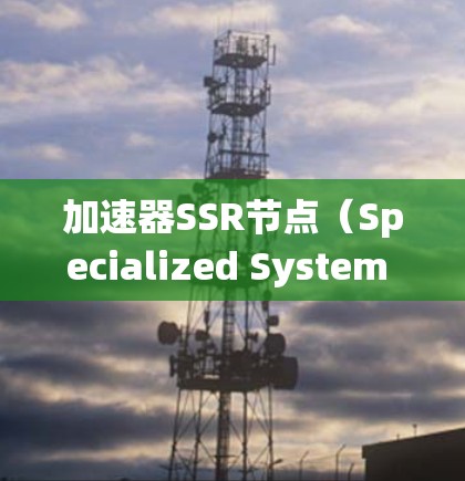 加速器SSR节点（Specialized System Resource Node）是现代计算机系统中的关键组件，用于高效管理资源。以下是对SSR节点的详细分析和总结