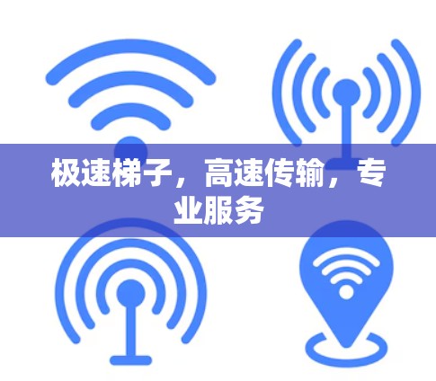 极速梯子,高速传输,专业服务 极速梯子,高速传输,专业服务