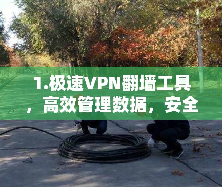 1.极速VPN翻墙工具，高效管理数据，安全保障网络连接