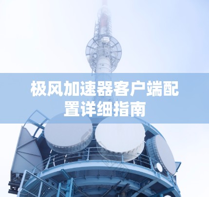 极风加速器客户端配置详细指南 极风加速器客户端配置详细指南
