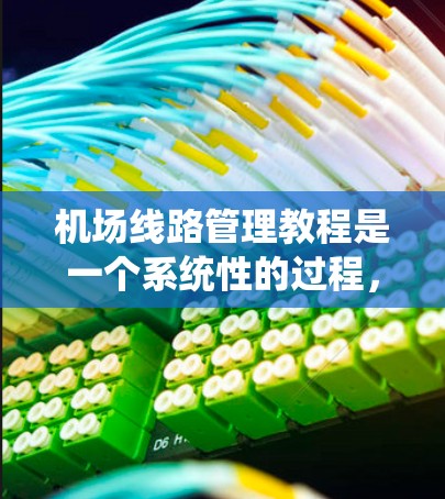 机场线路管理教程是一个系统性的过程，旨在指导机场内部基础设施的管理、维护和安全。以下是对该教程的分步说明