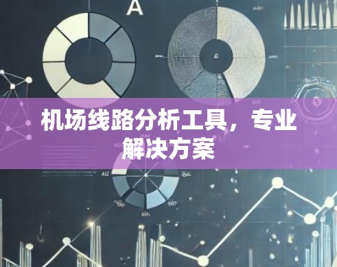 机场线路分析工具，专业解决方案