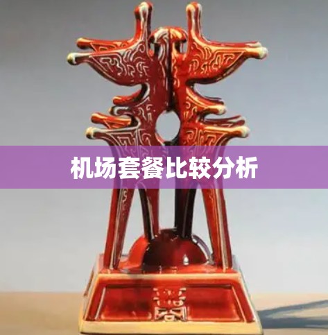 机场套餐比较分析