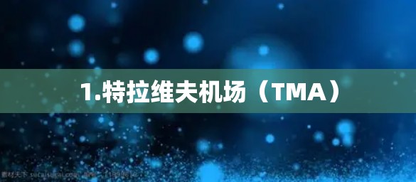 1.特拉维夫机场(TMA) 1.特拉维夫机场(TMA)