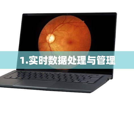 1.实时数据处理与管理 1.实时数据处理与管理