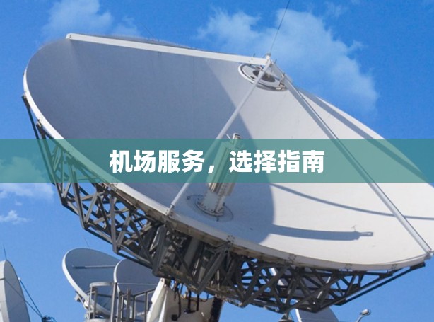 机场服务,选择指南 机场服务,选择指南