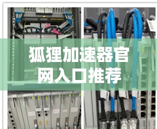 狐狸加速器官网入口推荐 狐狸加速器官网入口推荐