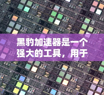 黑豹加速器是一个强大的工具，用于提高网页加载速度。以下是对黑豹加速器的详细分析和使用指南