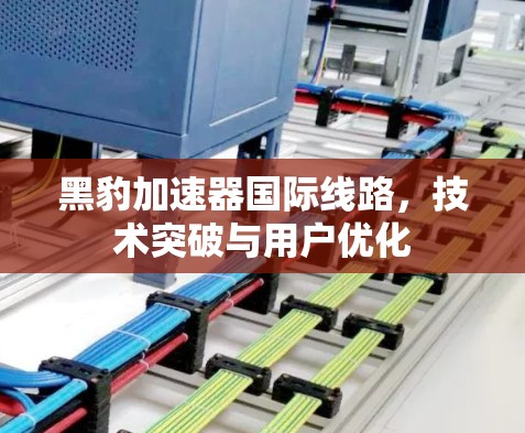 黑豹加速器国际线路，技术突破与用户优化