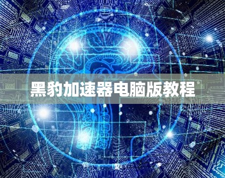 黑豹加速器电脑版教程
