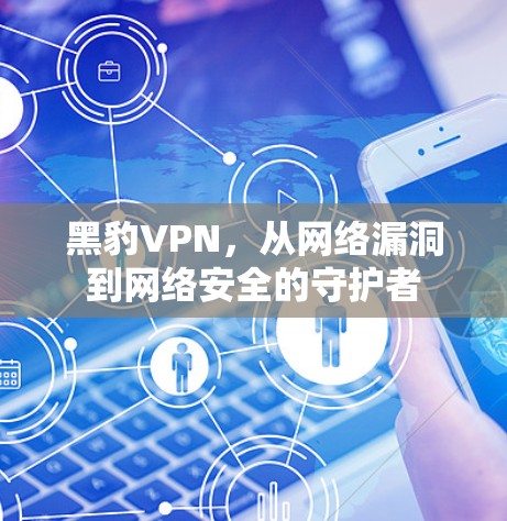 黑豹VPN，从网络漏洞到网络安全的守护者