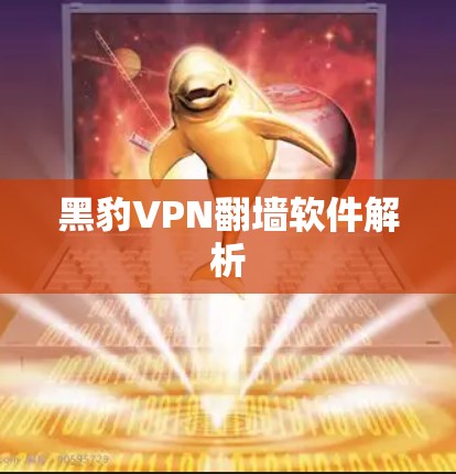 黑豹VPN翻墙软件解析