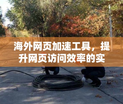 海外网页加速工具，提升网页访问效率的实用指南