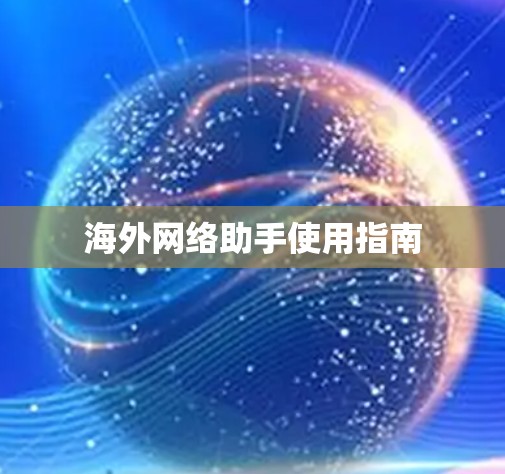 海外网络助手使用指南 海外网络助手使用指南