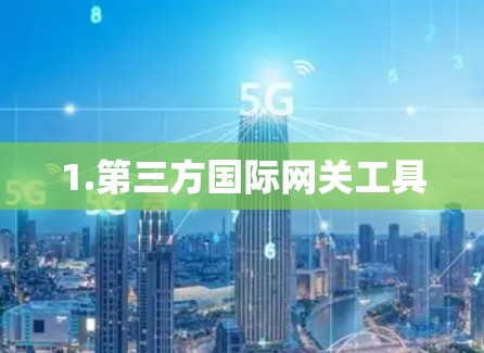 1.第三方国际网关工具