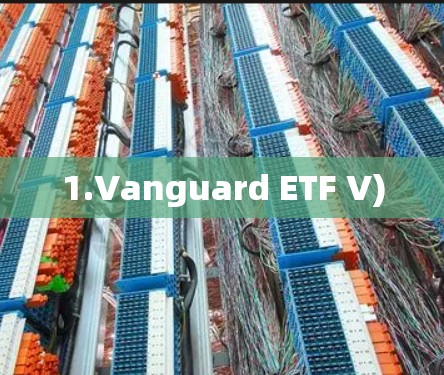 1.Vanguard ETF V)