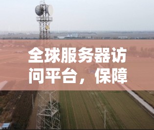 全球服务器访问平台，保障网络安全与服务流畅
