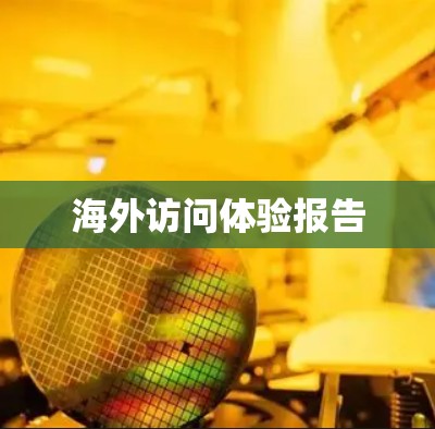海外访问体验报告