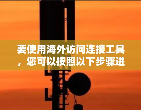 要使用海外访问连接工具，您可以按照以下步骤进行操作