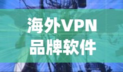 海外VPN品牌软件推荐，TripleKey