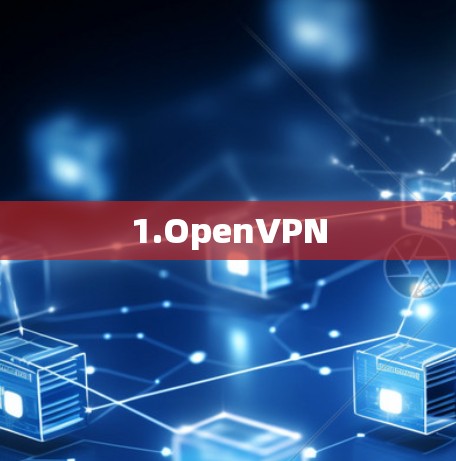 1.OpenVPN 1.OpenVPN