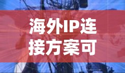 海外IP连接方案可以根据具体的网络需求和目标服务器的配置来制定。以下是一些常见的IP连接方案和方法 海外IP连接方案可以根据具体的网络需求和目标服务器的配置来制定。以下是一些常见的IP连接方案和方法