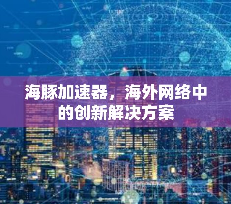 海豚加速器，海外网络中的创新解决方案