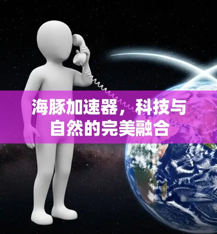 海豚加速器，科技与自然的完美融合