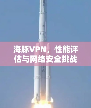 海豚VPN,性能评估与网络安全挑战 海豚VPN,性能评估与网络安全挑战