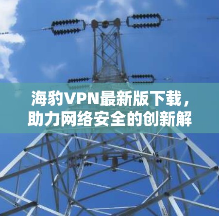 海豹VPN最新版下载，助力网络安全的创新解决方案