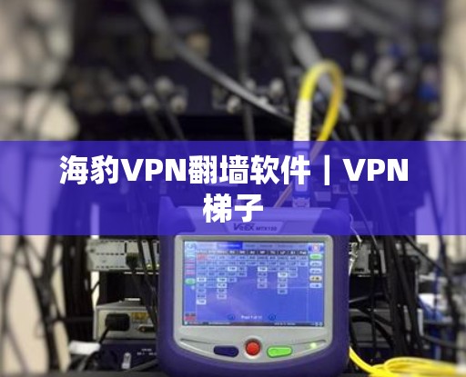 海豹VPN翻墙软件|VPN梯子 海豹VPN翻墙软件|VPN梯子