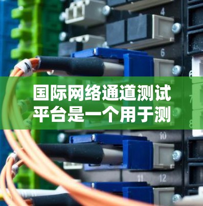 国际网络通道测试平台是一个用于测试不同网络环境和设备功能的工具，广泛应用于互联网和网络设备的测试。以下是对该主题的详细分步解释