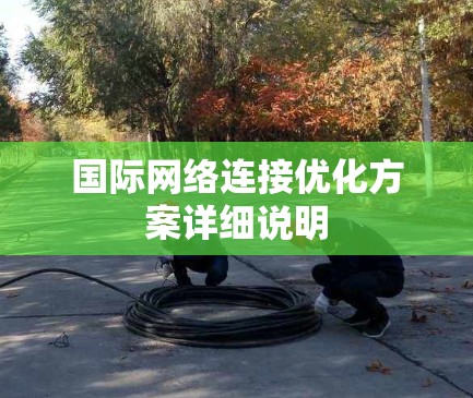 国际网络连接优化方案详细说明