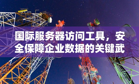 国际服务器访问工具，安全保障企业数据的关键武器