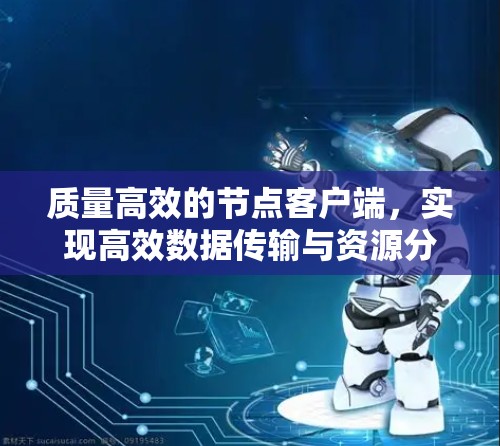 质量高效的节点客户端，实现高效数据传输与资源分配