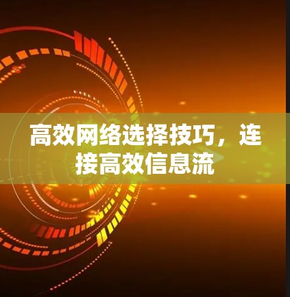 高效网络选择技巧，连接高效信息流