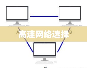 高速网络选择