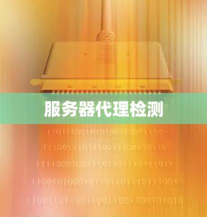 服务器代理检测